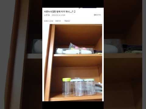 디시 명절 레전드 2편 하이라이트 딜도, 방 구경, 비눗방울 디시 명절 레전드 2편 하이라이트 딜도, 방 구경, 비눗방울