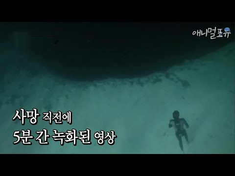 (ENG CC) 지구의 미스테리 블루홀, 그리고 그곳에 간 다이버가 촬영한 영상 속 괴생명체? | KBS 스펀지 120323 방송 (ENG CC) 지구의 미스테리 블루홀, 그리고 그곳에 간 다이버가 촬영한 영상 속 괴생명체? | KBS 스펀지 120323 방송