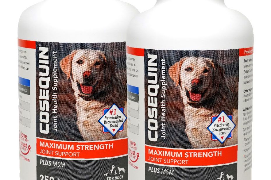 Cosequin Maximum Strength Plus Msm Joint Supplement For Dogs, 500 Chewable  Tablets | On Sale | Healthypets