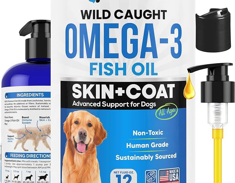 What Oil Is Best For Dogs Joints: A Comprehensive Guide