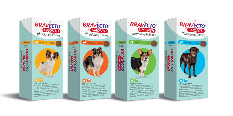 Bravecto® 1-Month Chews For Dogs And Puppies | Merck Animal Health Usa