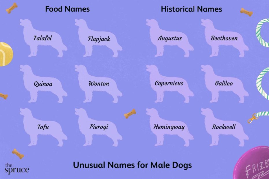 unique black male dog names indian