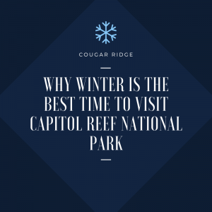 Why Winter Is The Best Time To Visit Capitol Reef National Park - Cougar  Ridge