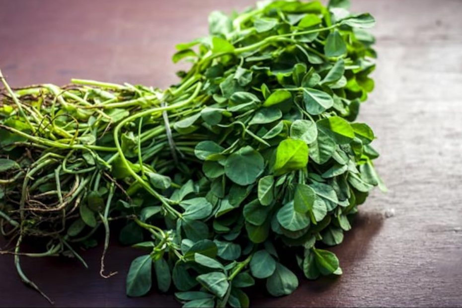 Cook Methi Leaves Or Have Them Raw? Heres What The Experts Have To Say -  Ndtv Food