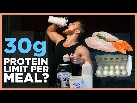 How Much Protein Can You Absorb In One Meal? (20G? 30G? 100G?) - Youtube