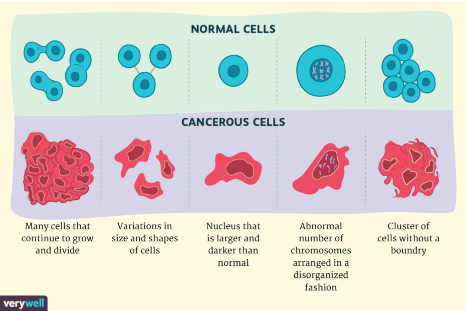 Cancer Cells Vs. Normal Cells: How Are They Different?