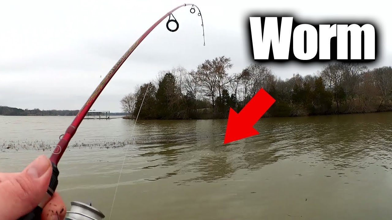 Fishing With Live Worms - Easy Ways To Find Fish From The Bank - Youtube