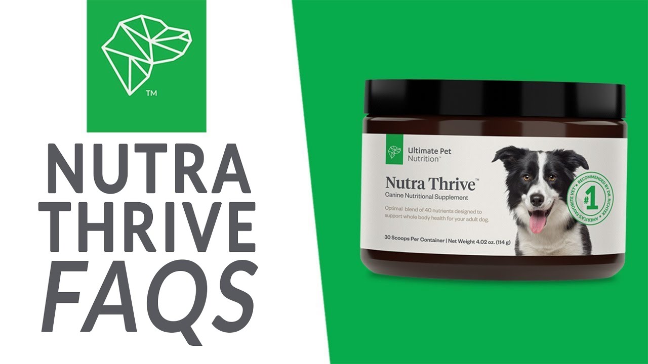 Nutra Thrive For Dogs Faqs | Ultimate Pet Nutrition - Youtube