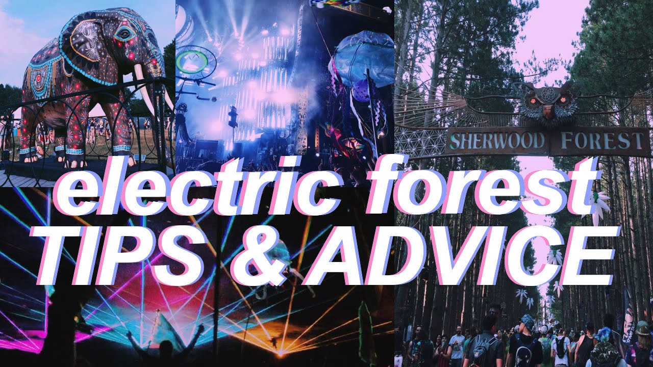 How To Survive E Forest // My Experience: Electric Forest - Youtube
