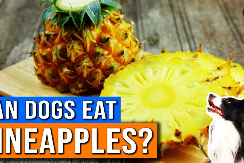 Question Is Pineapple Safe For Dogs? Exploring Canine Pineapple