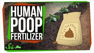 What Happens If You Use Your Feces As Fertilizer? - Youtube